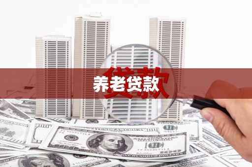车城养老贷款