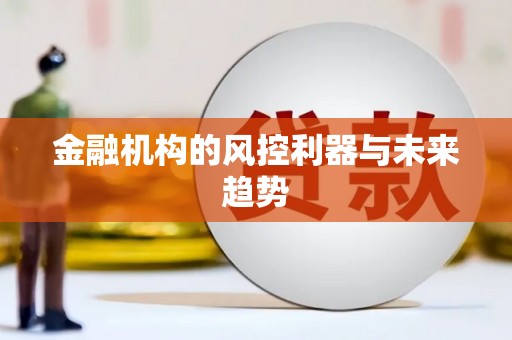 车城金融机构的风控利器与未来趋势