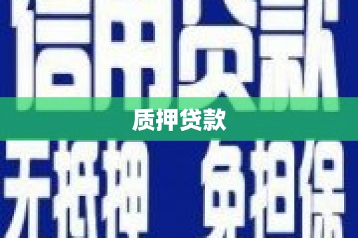 车城质押贷款