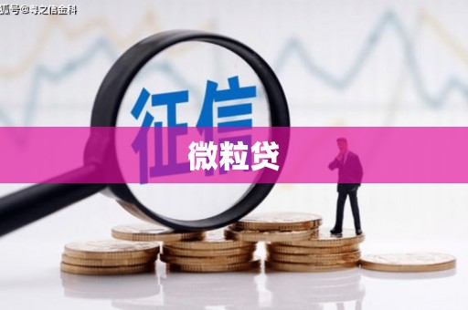 车城微粒贷