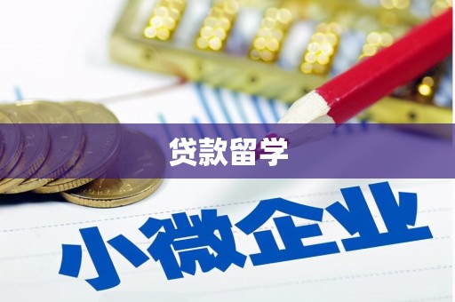 车城贷款留学