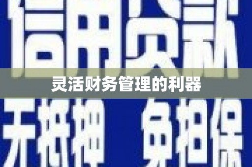 车城灵活财务管理的利器