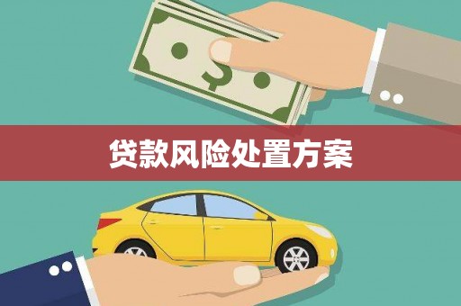 车城贷款风险处置方案