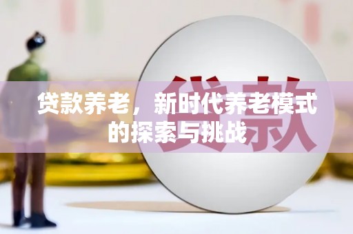 车城贷款养老，新时代养老模式的探索与挑战
