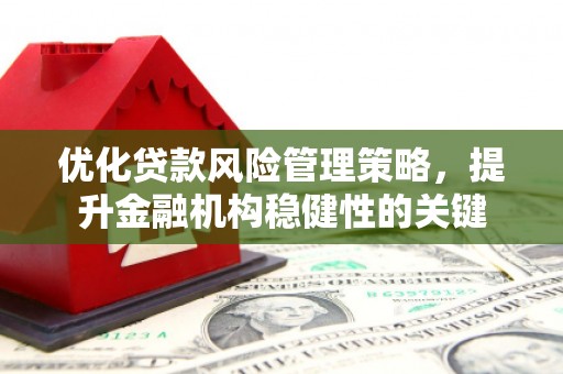车城优化贷款风险管理策略，提升金融机构稳健性的关键
