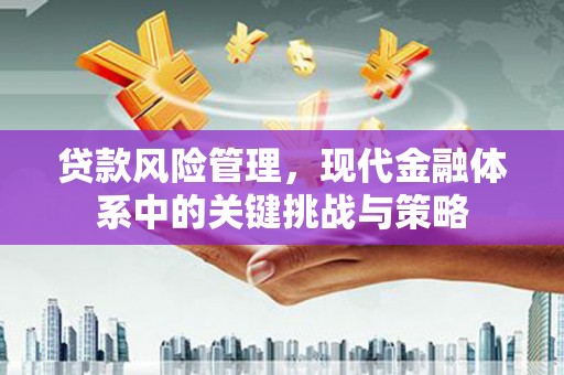 车城贷款风险管理，现代金融体系中的关键挑战与策略