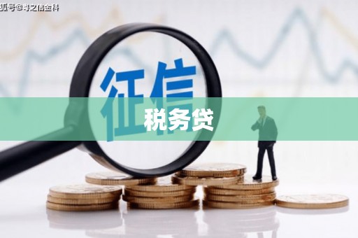 车城税务贷