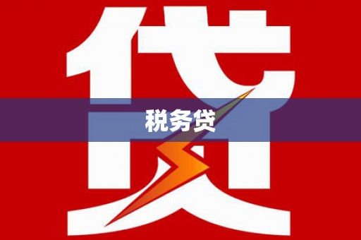 车城税务贷