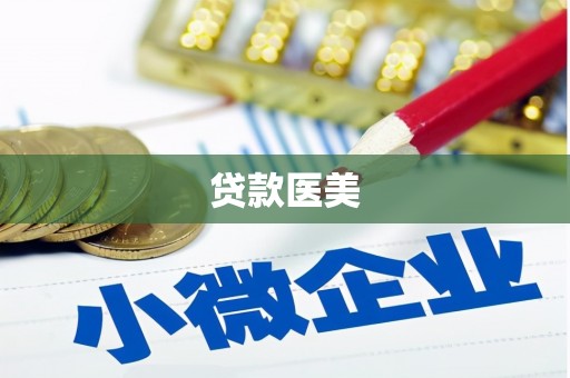 车城贷款医美