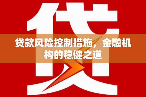车城贷款风险控制措施，金融机构的稳健之道