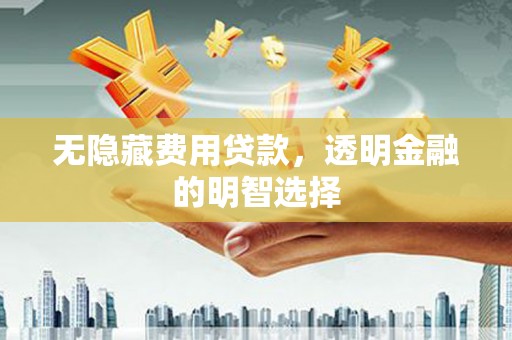 车城无隐藏费用贷款，透明金融的明智选择