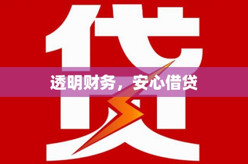 车城透明财务，安心借贷
