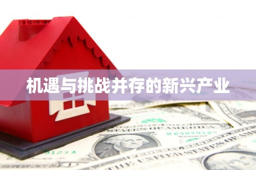 车城机遇与挑战并存的新兴产业