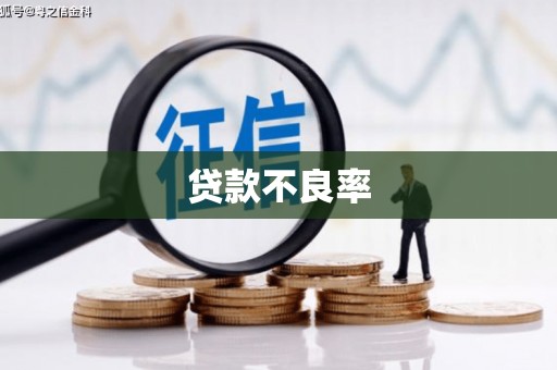 车城贷款不良率