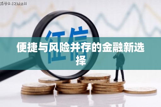 车城便捷与风险并存的金融新选择