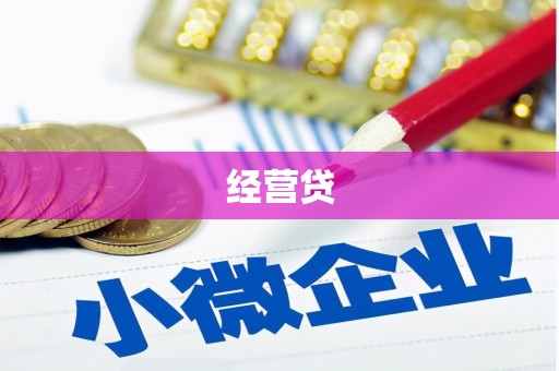 车城经营贷