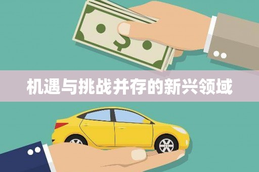 车城机遇与挑战并存的新兴领域