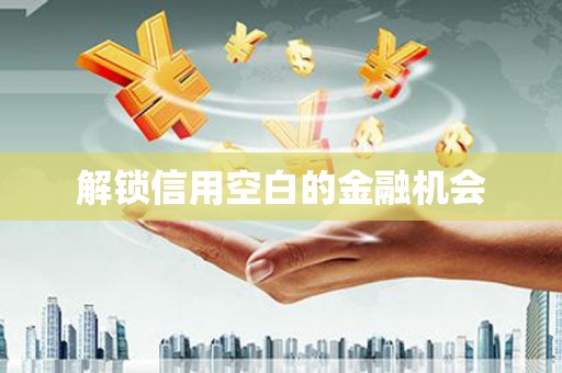 车城解锁信用空白的金融机会