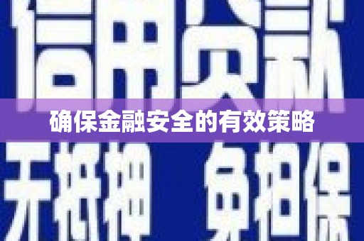 车城确保金融安全的有效策略