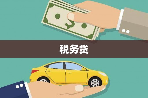 车城税务贷