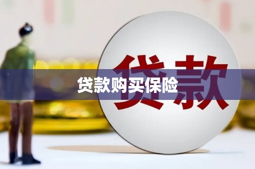 车城贷款购买保险