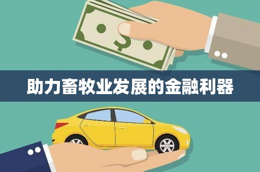 车城助力畜牧业发展的金融利器