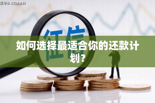 车城如何选择最适合你的还款计划？