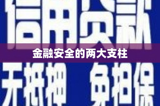 车城金融安全的两大支柱