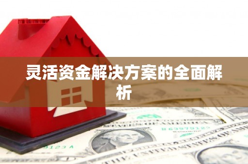 车城灵活资金解决方案的全面解析
