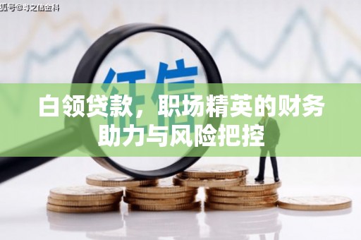 车城白领贷款，职场精英的财务助力与风险把控
