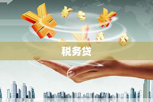 车城税务贷