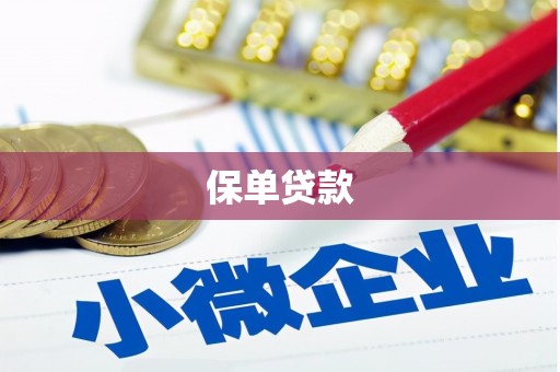 车城保单贷款